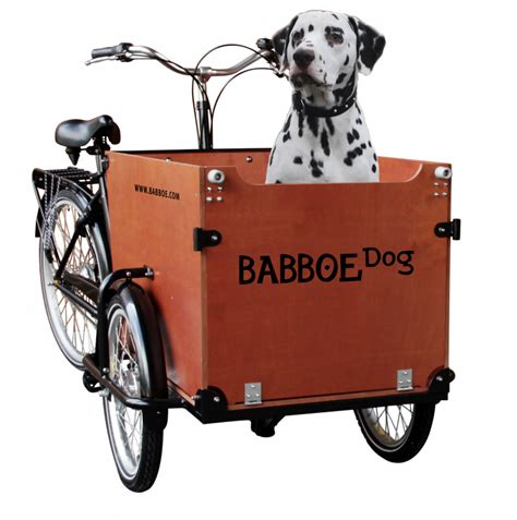 babboe dog cargo bike